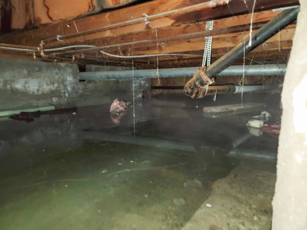 Best Commercial water damage restoration  in Rothschild, WI