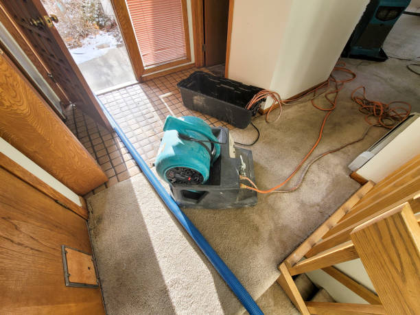 Best 24/7 water damage repair  in Rothschild, WI