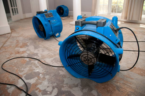 Best 24-hour water damage restoration  in Rothschild, WI