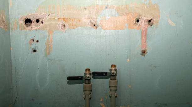 Best Water damage restoration near me  in Rothschild, WI