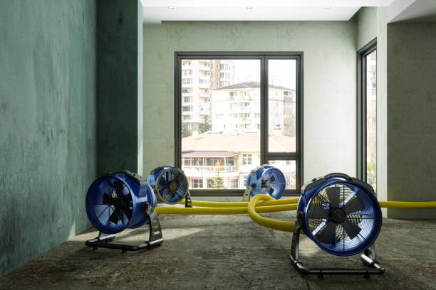 Best Water damage repair service  in Rothschild, WI